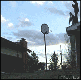 Курьезы на баскетбольной площадке