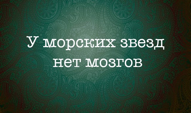 10 интересных фактов