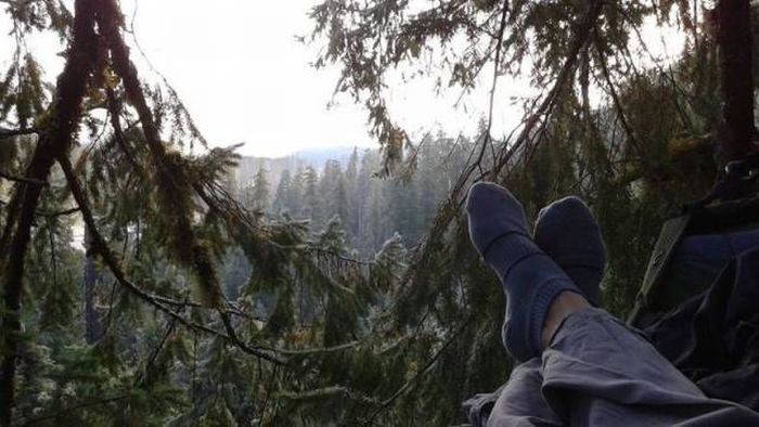 Подборка прикольных картинок (90 фото)