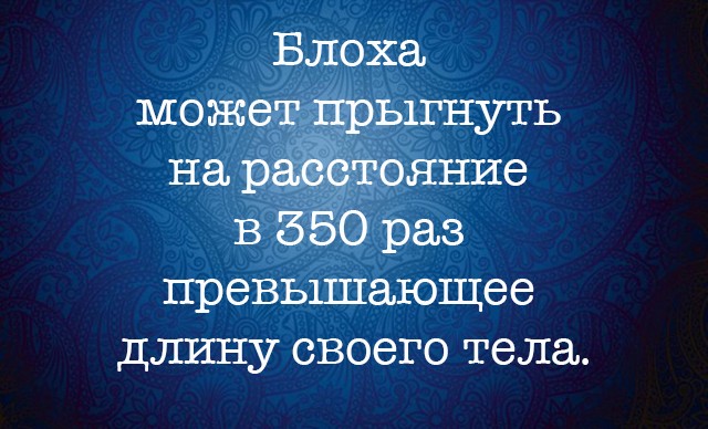 10 интересных фактов