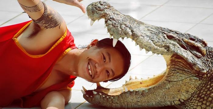 Крокодиловое шоу в Таиланде (8 фото)