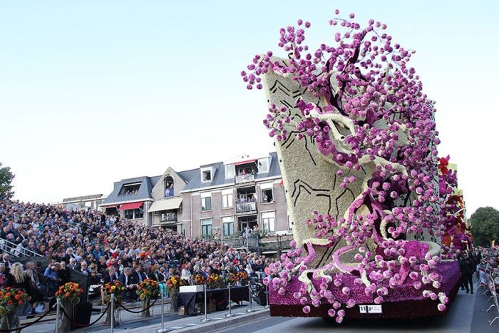 Парад цветов в голландском городе Зюндерт (14 фото)