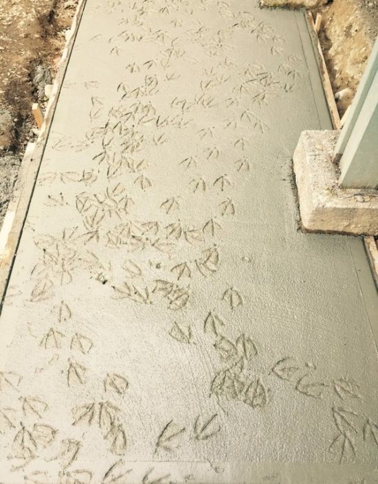 Подборка прикольных картинок (99 фото)