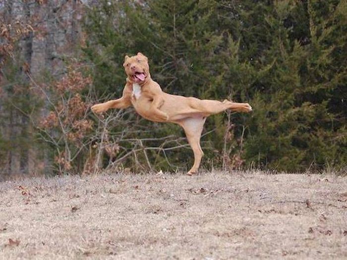 Подборка прикольных картинок (99 фото)