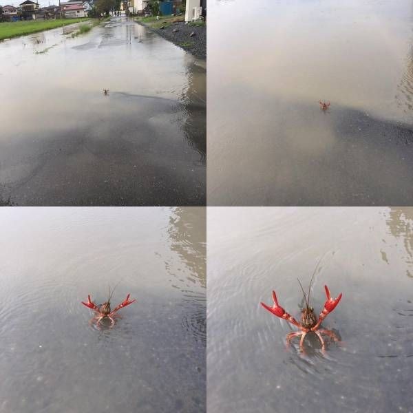 Подборка прикольных картинок (99 фото)