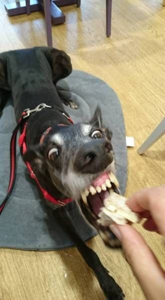 Подборка прикольных картинок (99 фото)