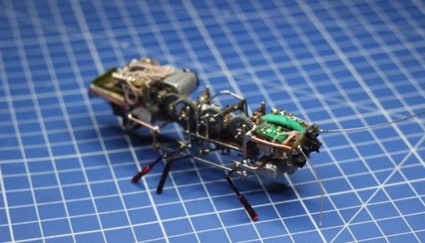 Миниатюрный робот-таракан (фото + видео)