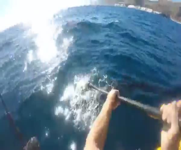 Рыбака на каноэ атаковала акула