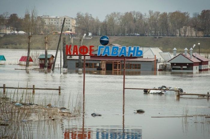 Забавные надписи и объявления (40 фото)