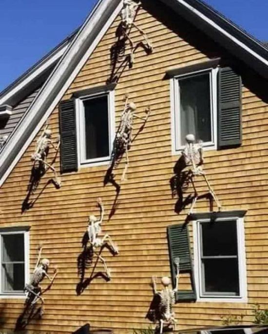 Подборка прикольных картинок (60 фото)