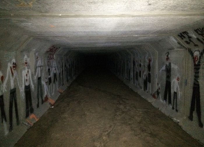 Подборка прикольных картинок (60 фото)