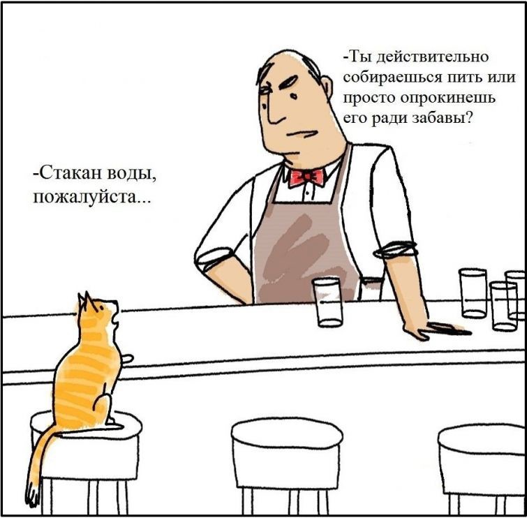 Забавные комиксы о котах (20 картинок)