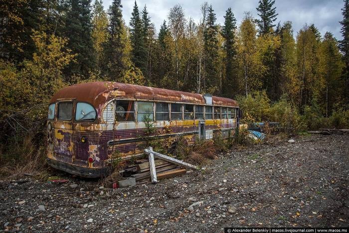 Инструкция, как выжить на Аляске (14 фото)