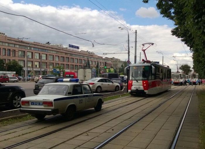 Русская версия премии Дарвина (38 фото)