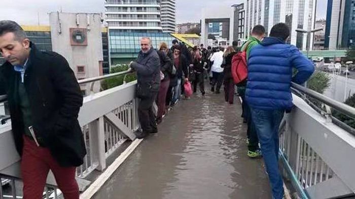 Подборка прикольных картинок (60 фото)