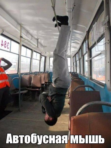 Подборка прикольных картинок (54 фото)