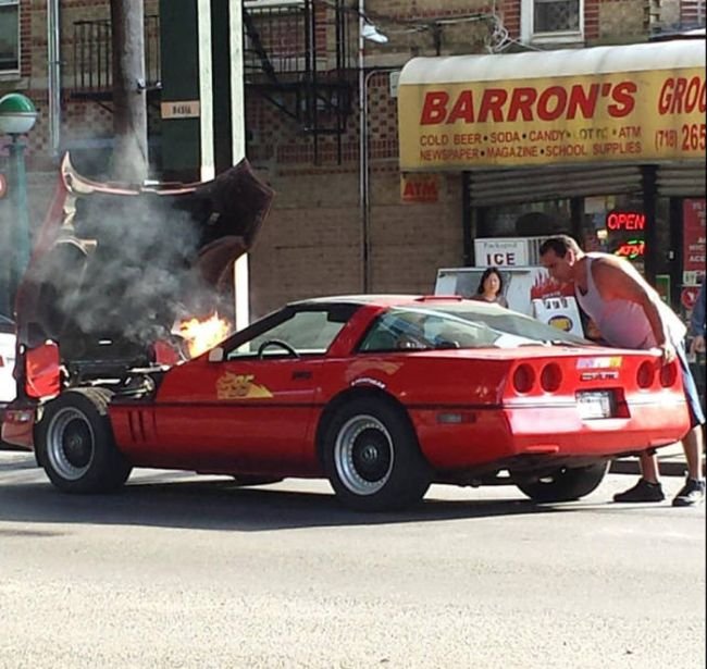 Подборка прикольных картинок (54 фото)