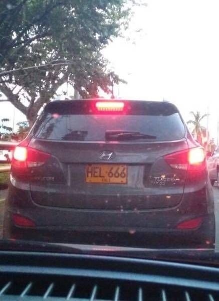 Подборка прикольных картинок (54 фото)