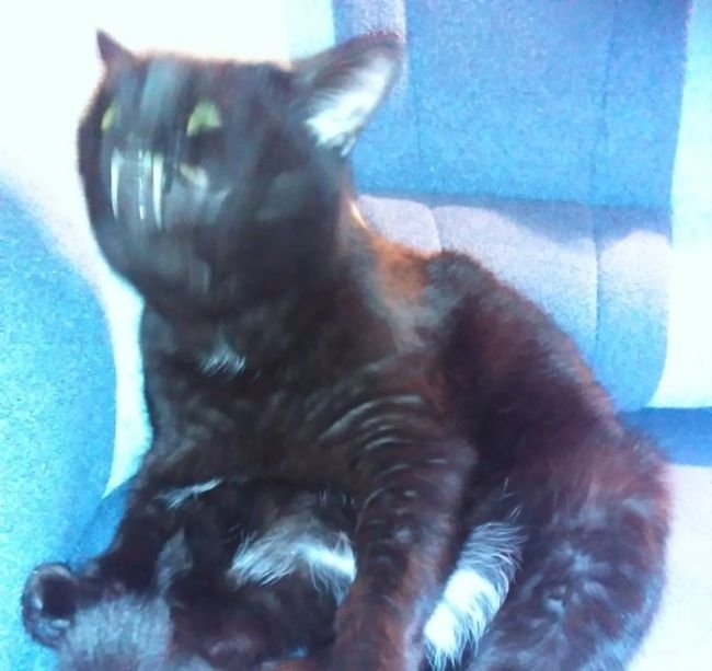 Подборка прикольных картинок (54 фото)