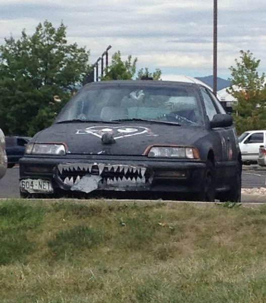 Подборка прикольных картинок (54 фото)