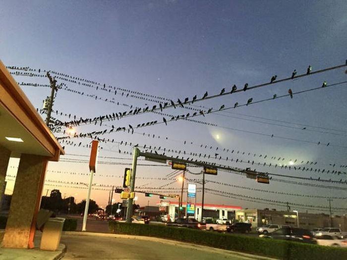 Подборка прикольных картинок (54 фото)