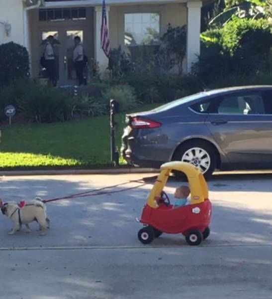 Подборка прикольных картинок (54 фото)