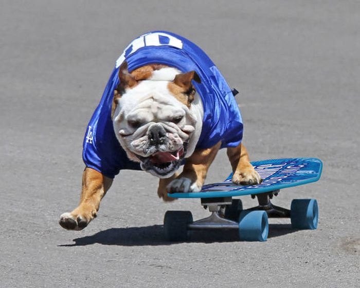 Подборка прикольных картинок (54 фото)