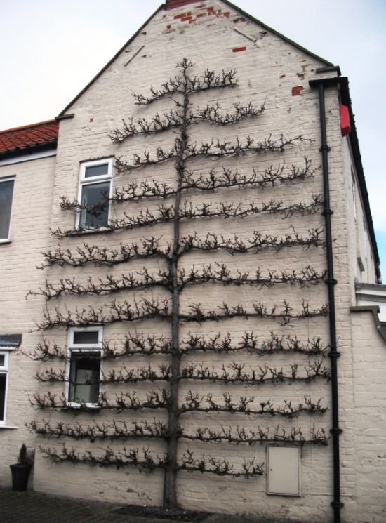 Подборка прикольных картинок (54 фото)