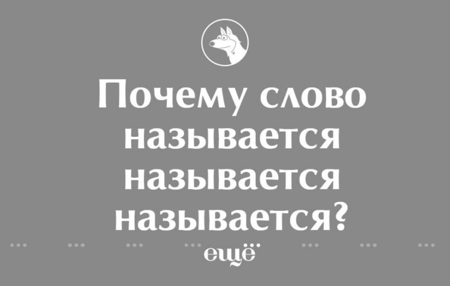 Какие вопросы задают в Интернете