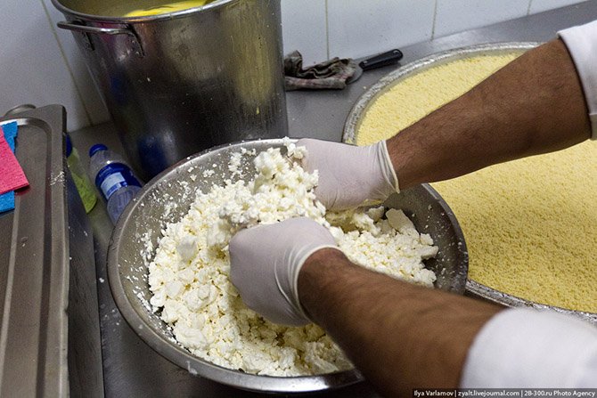 Как делают традиционное палестинское блюдо