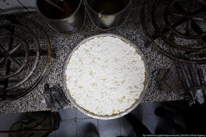 Как делают традиционное палестинское блюдо