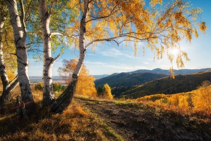 Красивые фото живой природы за октябрь от National Geographic (20 фото)