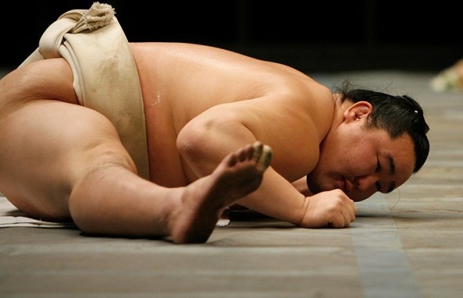 Интересные факты о борьбе сумо