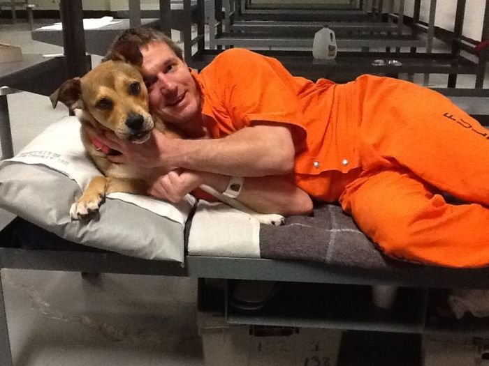 Заключенным разрешили брать на воспитание бездомных собак в одной из тюрем США (7 фото)