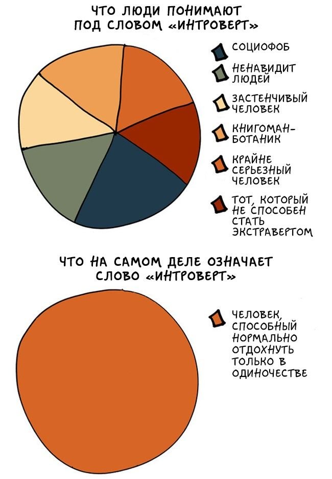 Познавательные графики о мире интровертов (17 картинок)