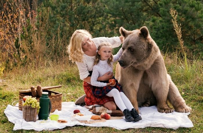 Пикник с медведем шокировал зарубежные СМИ