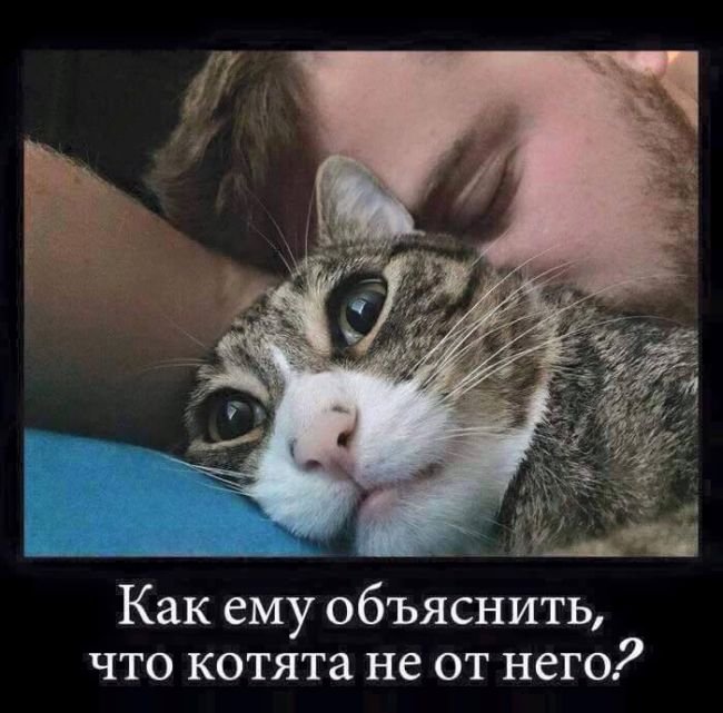 Позитивные демотиваторы (30 фото)