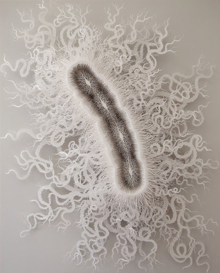 Микробиология Рогана Брауна из бумаги (21 фото)