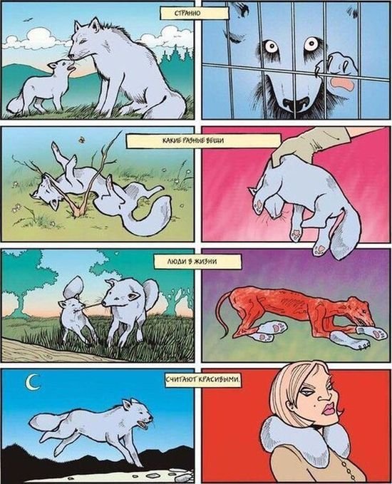 Комиксы (20 картинок)