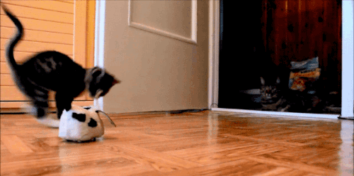 Классные гифки (20 гифок)