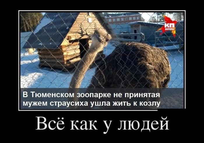 Позитивные демотиваторы (30 фото)