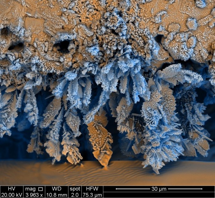 Необычные снимки, сделанные под микроскопом (25 фото)