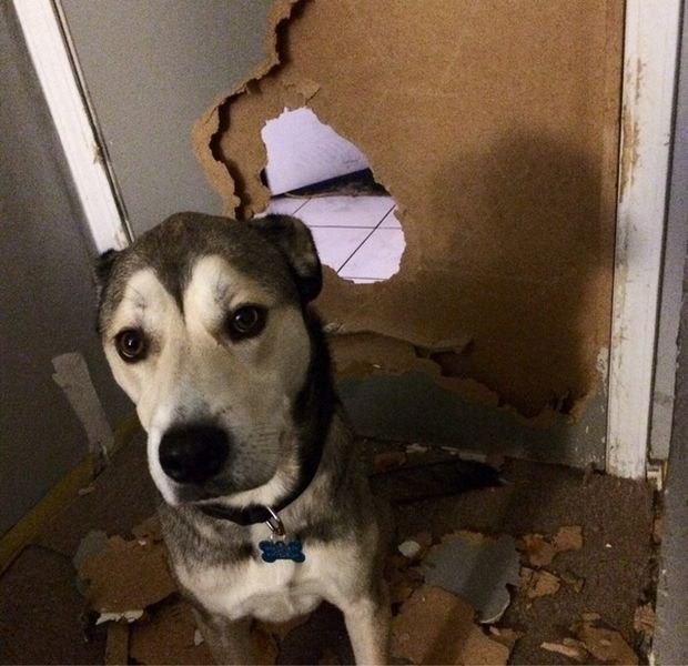 Подборка прикольных картинок (57 фото)