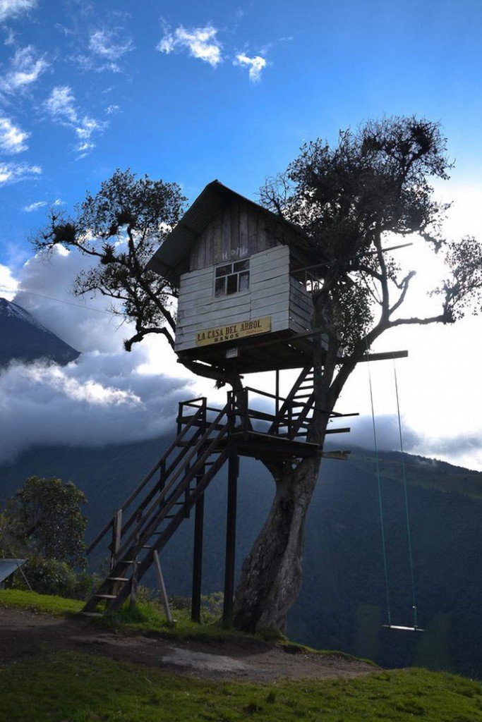 Самые необычные дома на деревьях