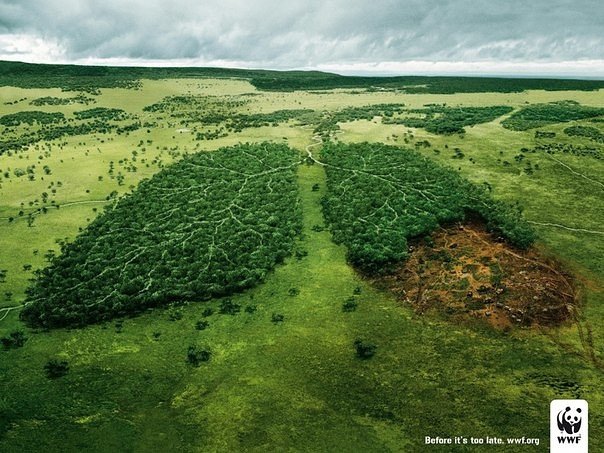 Реклама в защиту окружающей среды