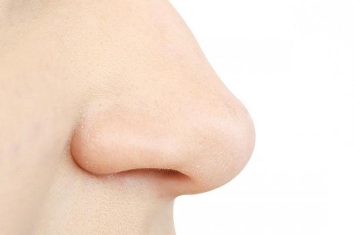 Что о вас говорит форма носа