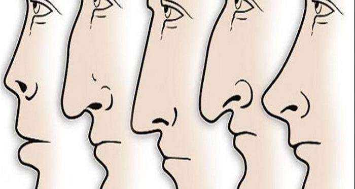 Что о вас говорит форма носа