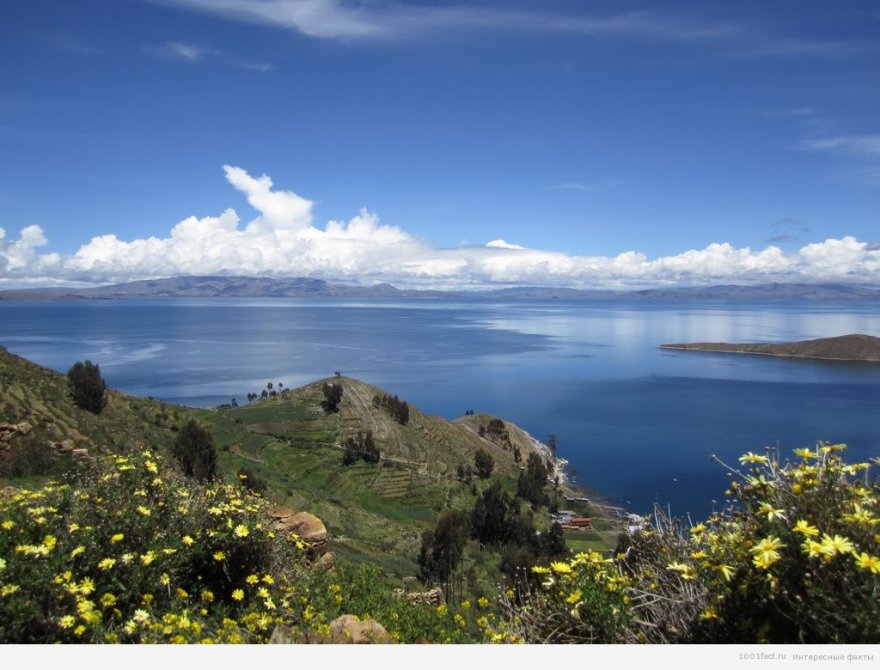 Интересные факты об озере Титикака