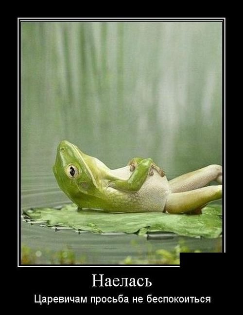 Позитивные демотиваторы (30 фото)