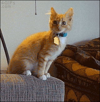 Прикольные гифки (25 гифок)